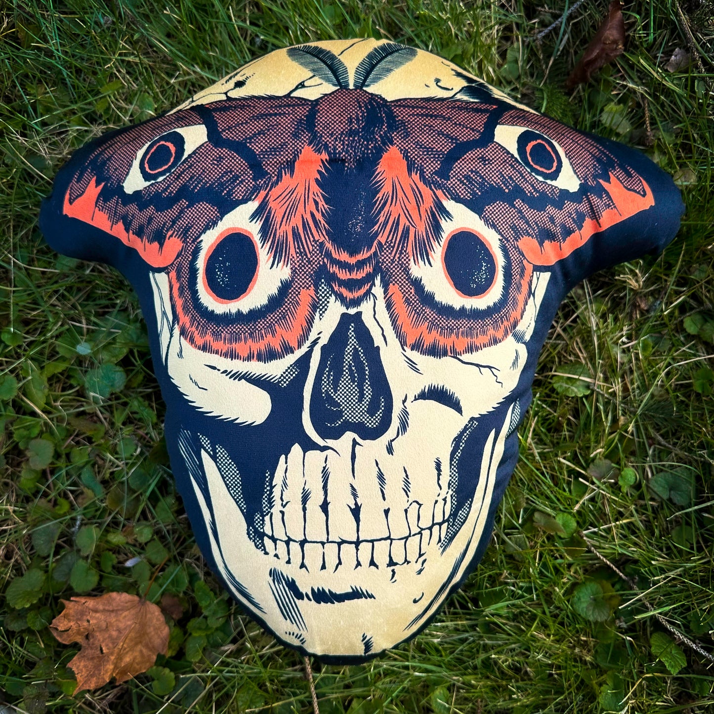 Masquerade Moth Throw Pillow